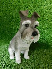 Beautiful SCHNAUZER Dog Garden