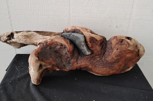 Driftwood root chunks diy - driftwood,