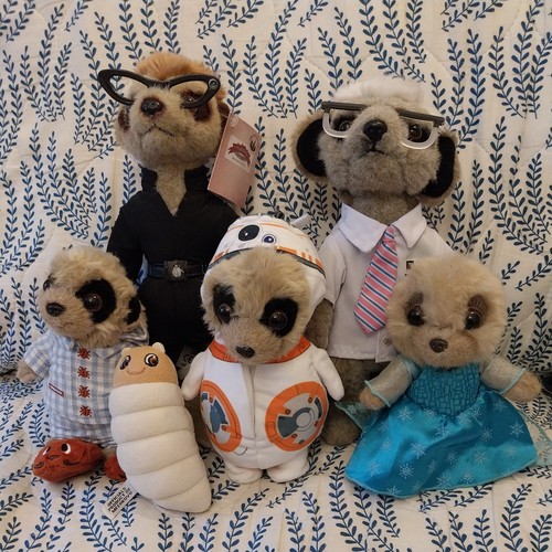 Compare meerkat 25cm - compare,