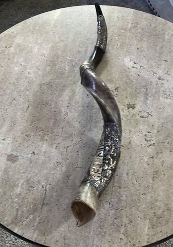 Shofar yemenite kudu horn - horn, 30''