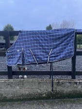 Loveson  Horse Travel/ Stable