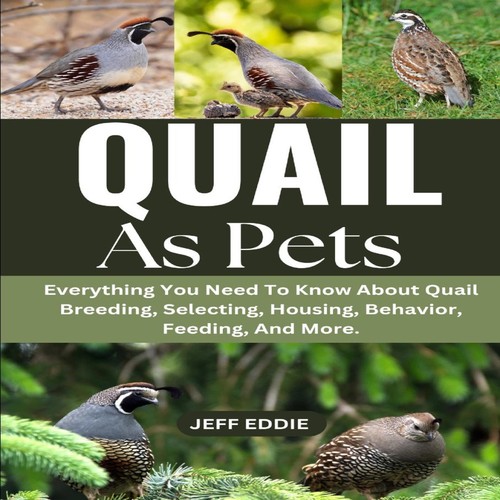 Quail pets everything - everything, you