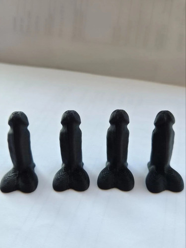 Novelty car bike tyre willy - car,