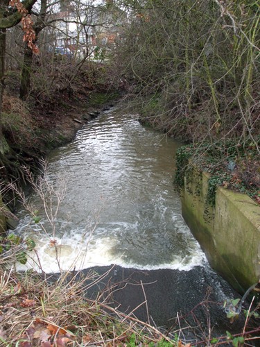Photo river crouch - photo, flowing