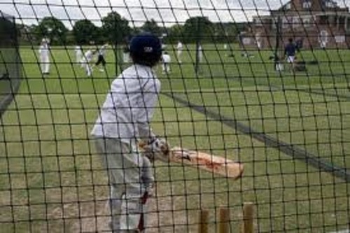 Cricket net 50mm - cricket, 2"