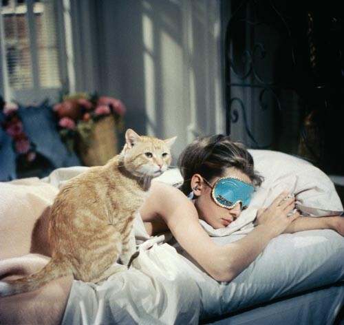 Audrey hepburn breakfast at - audrey,