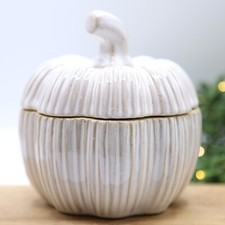 Beige Ceramic Pumpkin Pot with