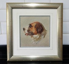 Original Old Antique 19th Century Oil Painting Dog Portrait of a St Bernard