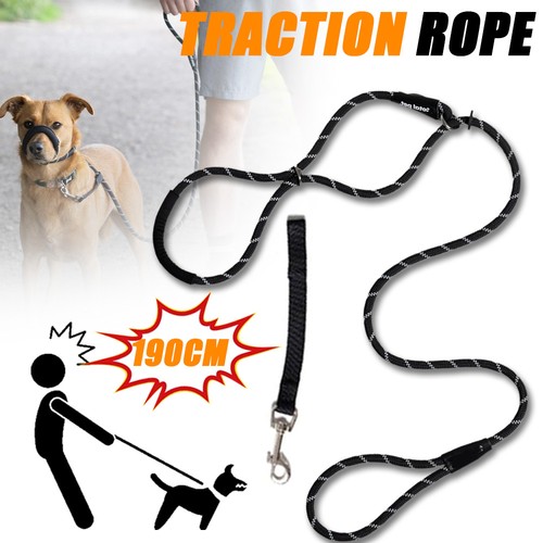 Anti pull figure dog - figure, 8