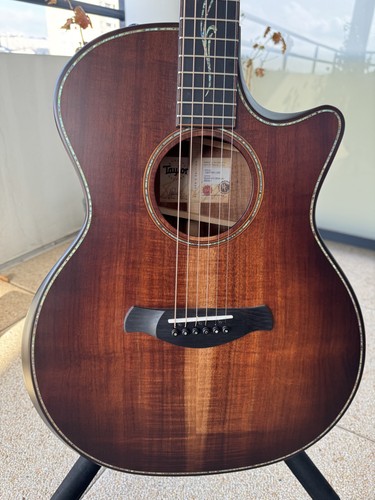 Taylor guitar builder - guitar, builder's