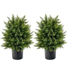 Set of 2 50cm Artificial Cedar