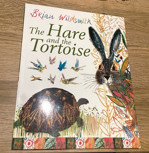 Brian wildsmith the hare and - brian,