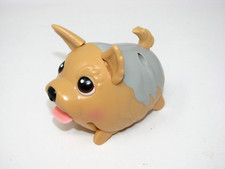 Chubby Puppies and friends