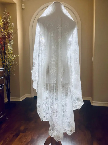 Chantilly lace mantilla - lace,