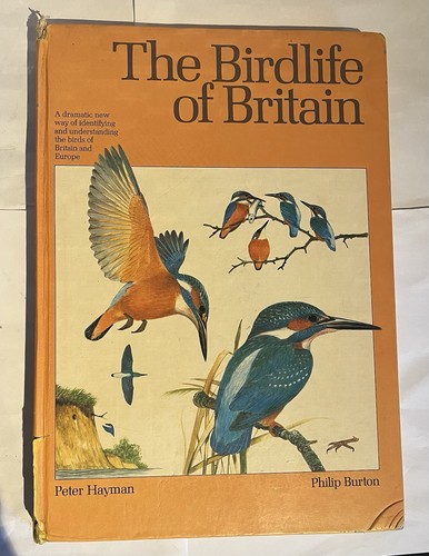 Vintage bird book the - bird,
