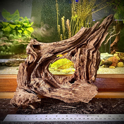 Natural aquarium driftwood - aquarium,