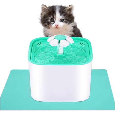 Pet friend cat - pet,
