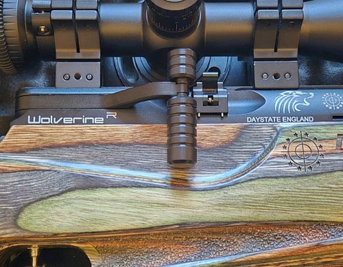 Custom biathlon style - biathlon,