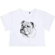 'English Bulldog Portrait'