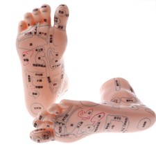 2PCS 19cm Message Acupuncture