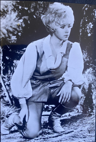Linda thorson 1960 to - 1960's,