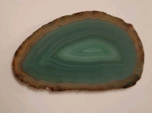 Large polished geode - polished,