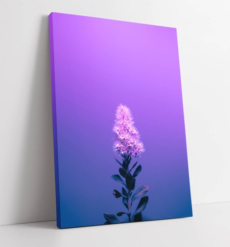 Purple flower a - a,