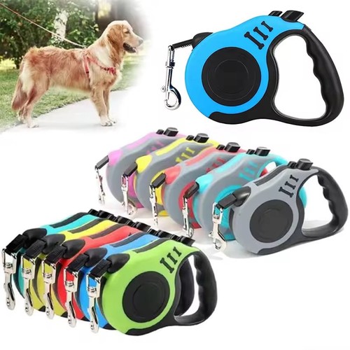 Retractable dog lead - dog,