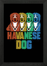 Havanese Dog Retro Puppy