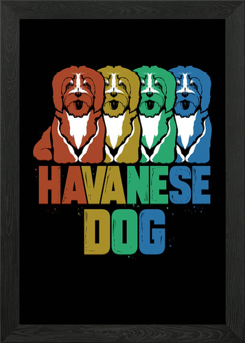 Havanese dog retro - havanese, puppy