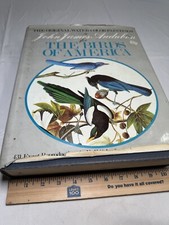 Original Watercolor Paintings