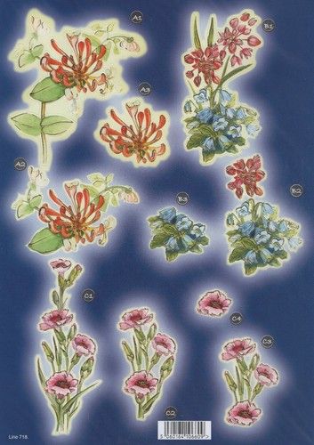 Flower design die - die, cut