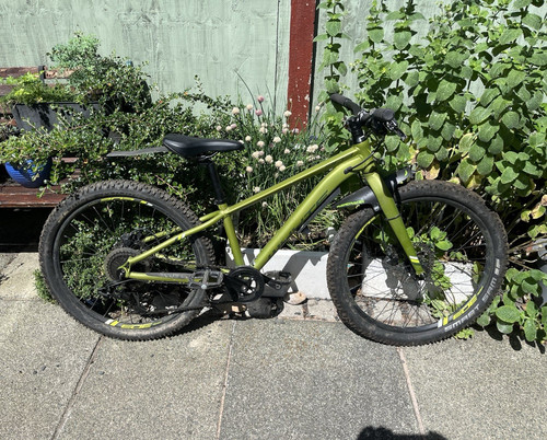 Whyte 303 24in - whyte, v1