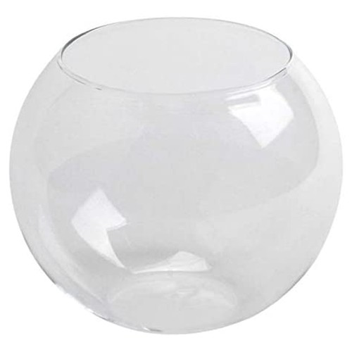 Glass goldfish bowl - fish, vase