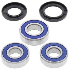 Wheel Bearing Kit Rear For