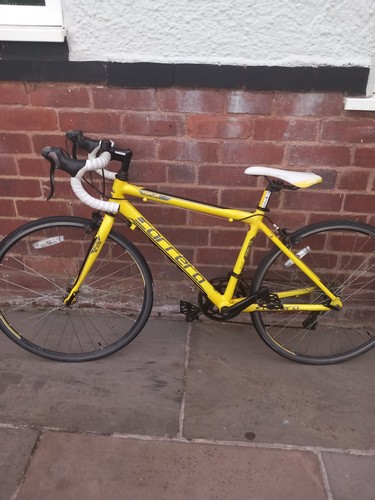 Carrera tdf road bike - carrera,