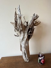 Driftwood Piece tall, silver   rootbranch. tree Bogwood  for  viv or Display