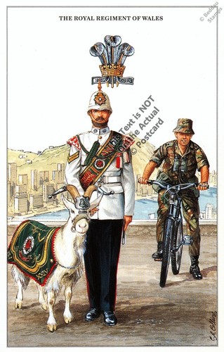 The royal regiment wales - of,