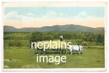 Man Standing on Loaded Hay