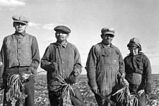 Mexican sugar beet worker family near East Grand Forks Minnesota 1937 Old Photo