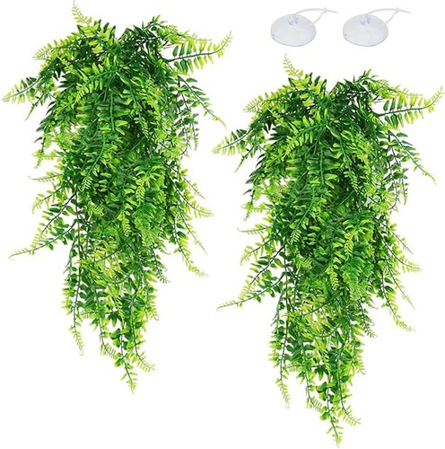 Quozuo pack reptile - quozuo, plants