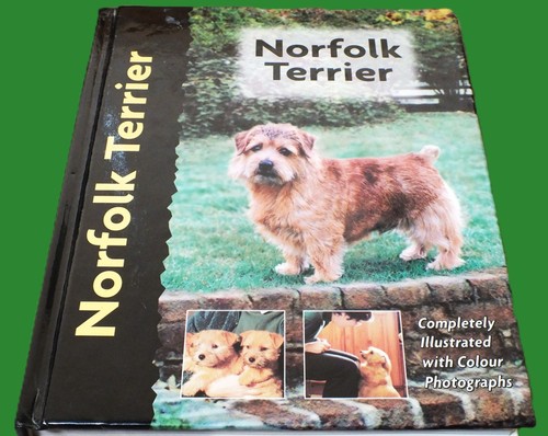 Norfolk terrier comprehensive - terrier, (comprehensive