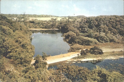1969 bosherston lily pools - 1969,