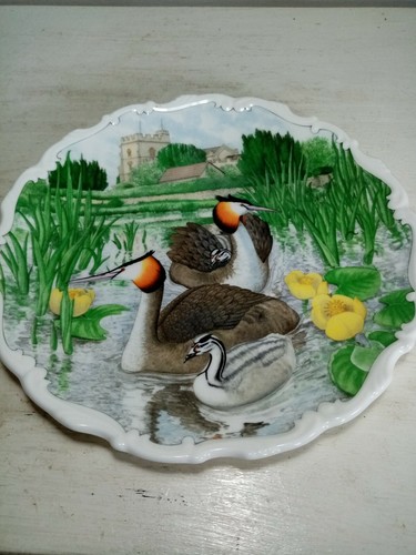 Royal albert bone china plate - bone,