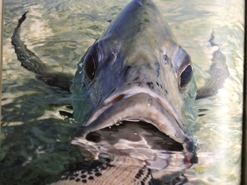 Hardy game fishing catalogue - hardy,
