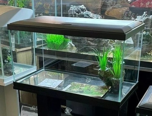 Brand new fish tank - brand,
