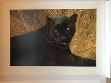 Carl Brenders Black Sphinx
