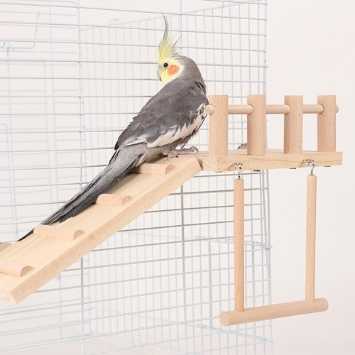 Bird cage accessories set with - accessories,