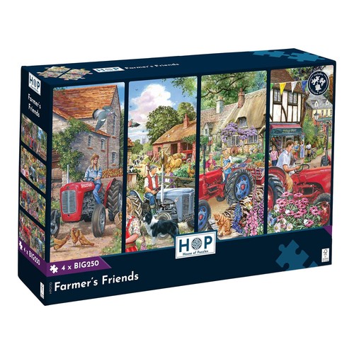 The house puzzles - the,