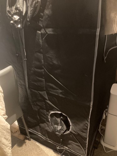 Grow tent 5 x - grow,